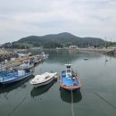 나로도형제섬민박 | 여수 섬 여행 하화도 배편 백야도 선착장 주차 및 당일치기 트레킹 코스 정리