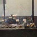 함바 | 합정 함박스테이크 찐맛집 함반 내돈내산 솔직 후기｜위치·웨이팅·맛 총정리