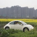 city 24 Daum카페
