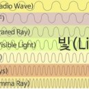 빛의 소나타 이미지