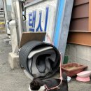 독천택시부