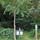 용현계곡입구 주차장 이미지