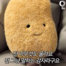 부산 초등임용 2차 공부 📚