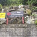 (주)세파스 이미지