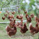 서연농장 이미지