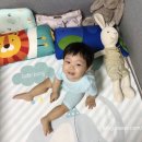 라온우리 이미지