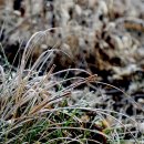 영양농협주유소 이미지