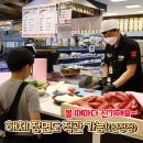 자연애퀵쿡 신정점 네이버블로그