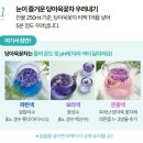 생생정보 창원 꽃차 하늘바라기