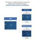 고운환경㈜ | 수분은 가볍게, 성분은 탄탄하게｜겨울에 쓰기 좋은 유리아쥬 리페어링 온천수 미스트 후기