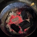 둥지애견 이미지