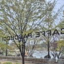 소마미술관 | 잠실 올림픽공원 카페 소마미술관 옆 파스쿠찌 에스프레소 마끼아또 &amp; 콘파냐 후기