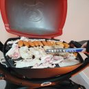 웨버 가스그릴 <b>베이비큐</b>Q1250(바베큐 그릴 삼겹살 소시지구이 먹방)