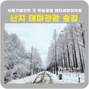 중앙로 메타세콰이아길 이미지