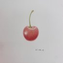 보태니컬 아트 이미지