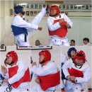 강호동태권도 OSEN