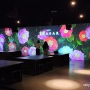 아르떼 티(Arte tea) 이미지