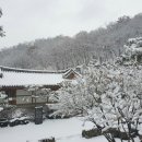 다도한방카페 이미지