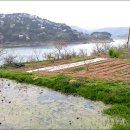 도안농장 이미지