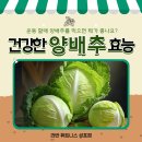 라반휘트니스성포점