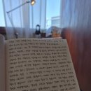 고산의낮고산의밤