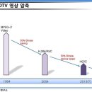 1.11 HEVC(High Efficiency Division Multiplexing, H.265) 이미지