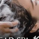 대전롯데 헤드 이미지