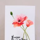 수채 캘리그라피 | [구리 롯데백화점 문화센터] 수채캘리그라피 수업 후기 – 양귀비꽃과 감성 문구를 담은 수강생 작품