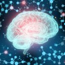 파킨슨병, 세포 내 환경오염이 핵심 이미지