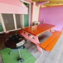 산속애견 이미지