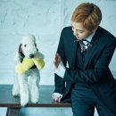 그라치아 이미지