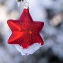 푸름농장2 이미지