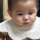 싱글벙글 돼지의 주간 일기