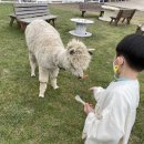 새별농장 이미지