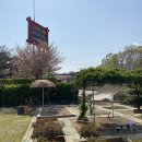 그리심농장 | 포항 키즈체험농장 놀팜 부추수확체험