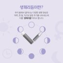 스킨365 이미지