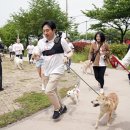 우리집 막둥이 이미지