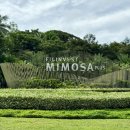 티업의원 | [필리핀 클락자유여행]미모사 CC(아카시아 코스)캐디피 및 솔직후기✅ 내 첫 그린을 축하하는 쌍무지개🌈