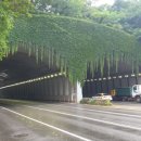 원신공원 이미지