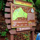 노스페이스 태백점 | 강원도 가볼만한곳 겨울 태백 여행! 힐링로드ON 태백 웰니스 걷기투어 리뷰