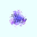 청춘펜션 이미지