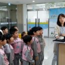 온양(병설)유치원 티스토리