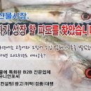 11월 냉동 갑오징어 수입량 6% 감소, 수입단가도 하락세 이미지