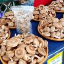 정경식농장 이미지