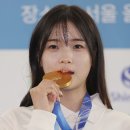 세화 파크텔 노컷뉴스