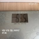 푸응 10일 다이어트 내돈내산 후기 1탄 (5일간 -2.1kg)