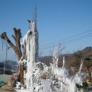 광바위 주유소 이미지