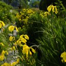 수승대마을 이미지