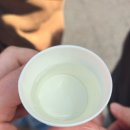 청송나무집 | 11월 청송사과축제 가봤어요! 청송사과·시나노골드사과 제대로 맛본 후기