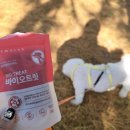 헤모랩